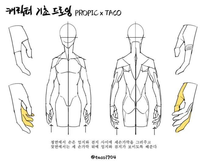 정면에서 손은 엄지와 검지 사이에 세손가락을 그려주고 뒷면에서는 세 손가락 뒤에 엄지와 검지가 보이도록 해준다 