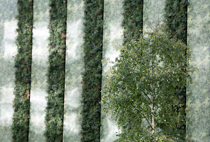 LSEMaths's tweet image. Could modern technologies like blockchain help in scaling up voluntary carbon markets, by addressing issues of REDD+? 🌲🌍

Check out this new wp by Dr Grammateia Kotsialou (et al) ➡️ osf.io/preprints/soca… #cop26 #netzero #blockchain #carbon #offset #forest #greengiltUK #FSOC