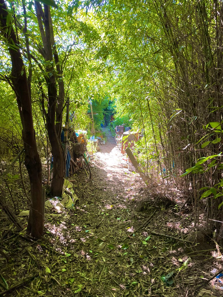 ホームレス Hashtag V Twitter