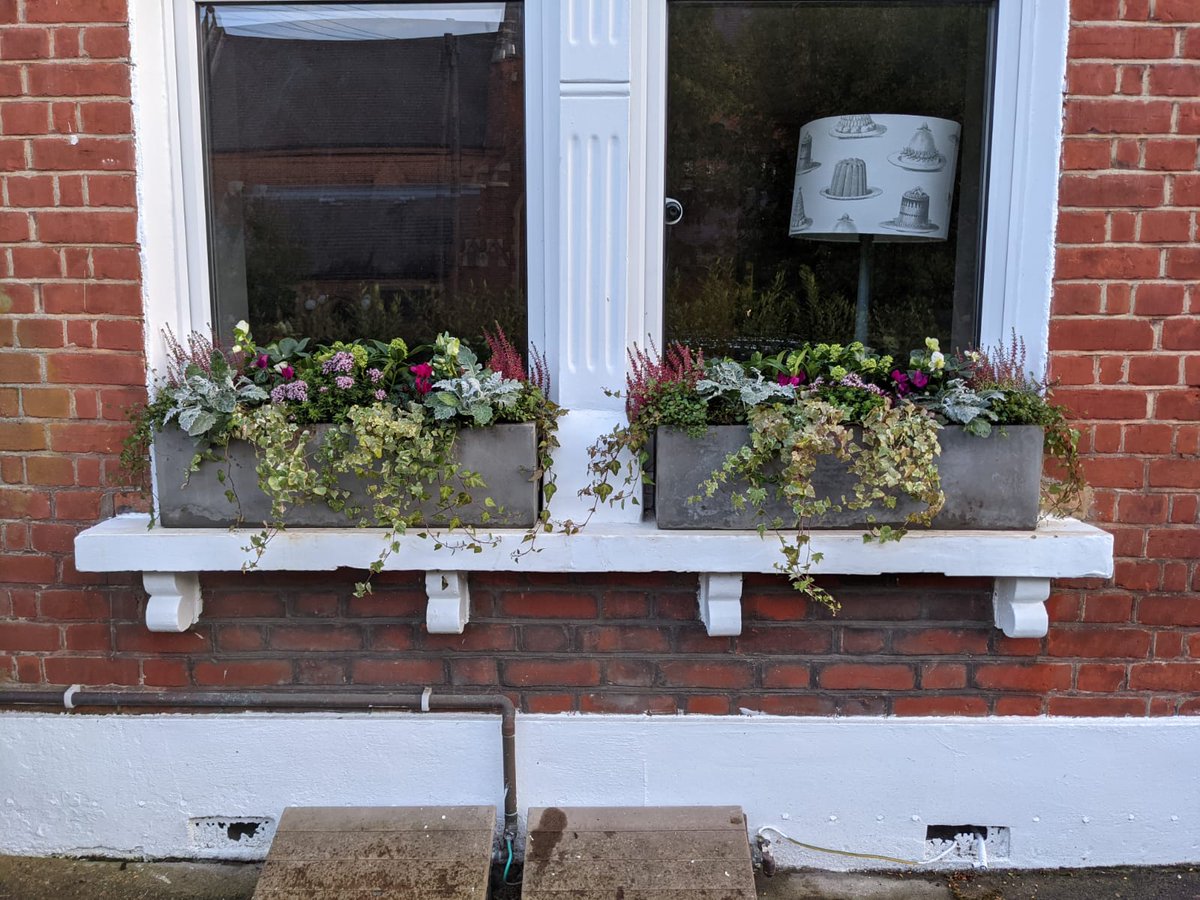living_windows's tweet photo. How beautiful are these window boxes? π
Just because the grey and rainy season is coming, doesn't mean you can't enjoy splashes of colour!
#livingwindows #windowboxes #windowplants #windowgarden #balconygarden #londongarden #londonhome #gardening https://t.co/n8kAZvi6qb