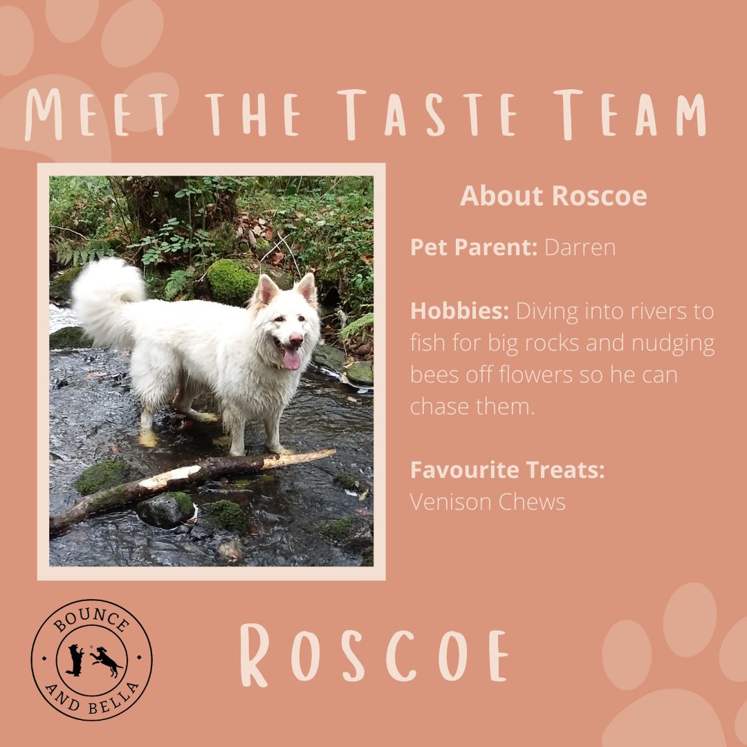 Introducing Bounce and Bella's Taste Team, and today we're starting with the OG member - Roscoe!