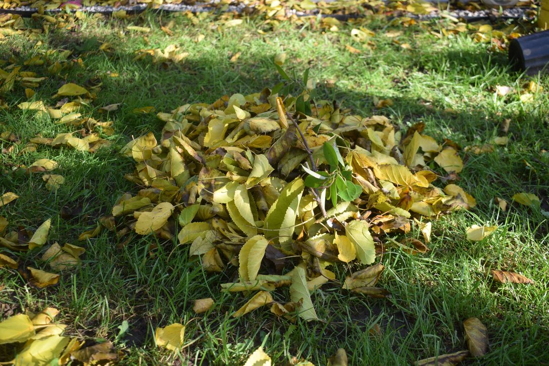 Flamborough Review tweet media