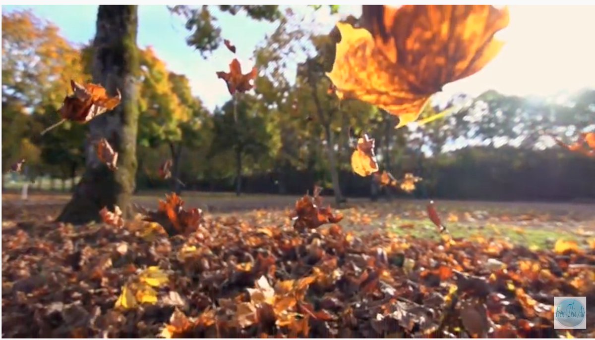 shancrockerRD's tweet photo. This Wednesday morning 4-minute meditation brought to you by fall colours...(the ending of this video is stunning!)
https://t.co/x9lOxWNJW1
#meditation #mindcalming #wednesdaythought https://t.co/Ztw2XdGYb7