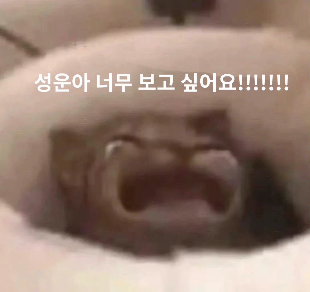 Cloud Latte(⁎⁍̴̛ᴗ⁍̴̛⁎) <a href="/gooreumseng/">하성운</a> 너무 보고 싶어요 ㅠㅠ #하성운 #하늘