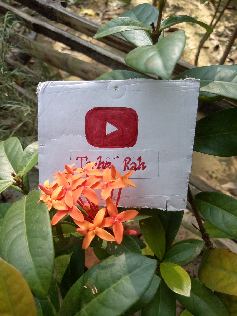 TechzRah's tweet photo. https://t.co/NmwATX95xQ