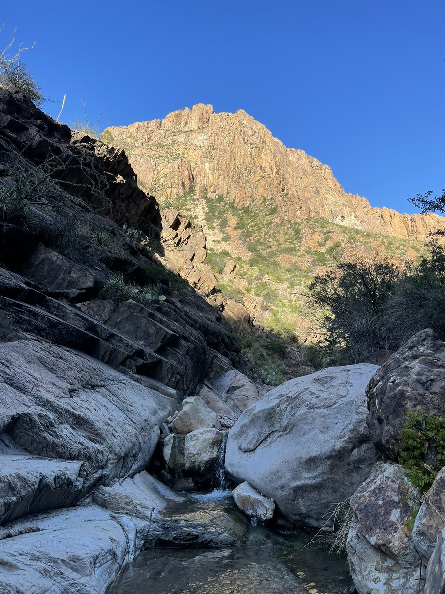 Oh_My_91's tweet photo. Such beauty at Brazos g Bend National Park! #bigbendnationalpark #nationalparks #bbnp #texas https://t.co/G7dsJK4y1K