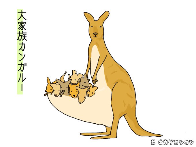 カンガルーのお腹の袋の中ってめっちゃ臭いらしいねのtwitterイラスト検索結果