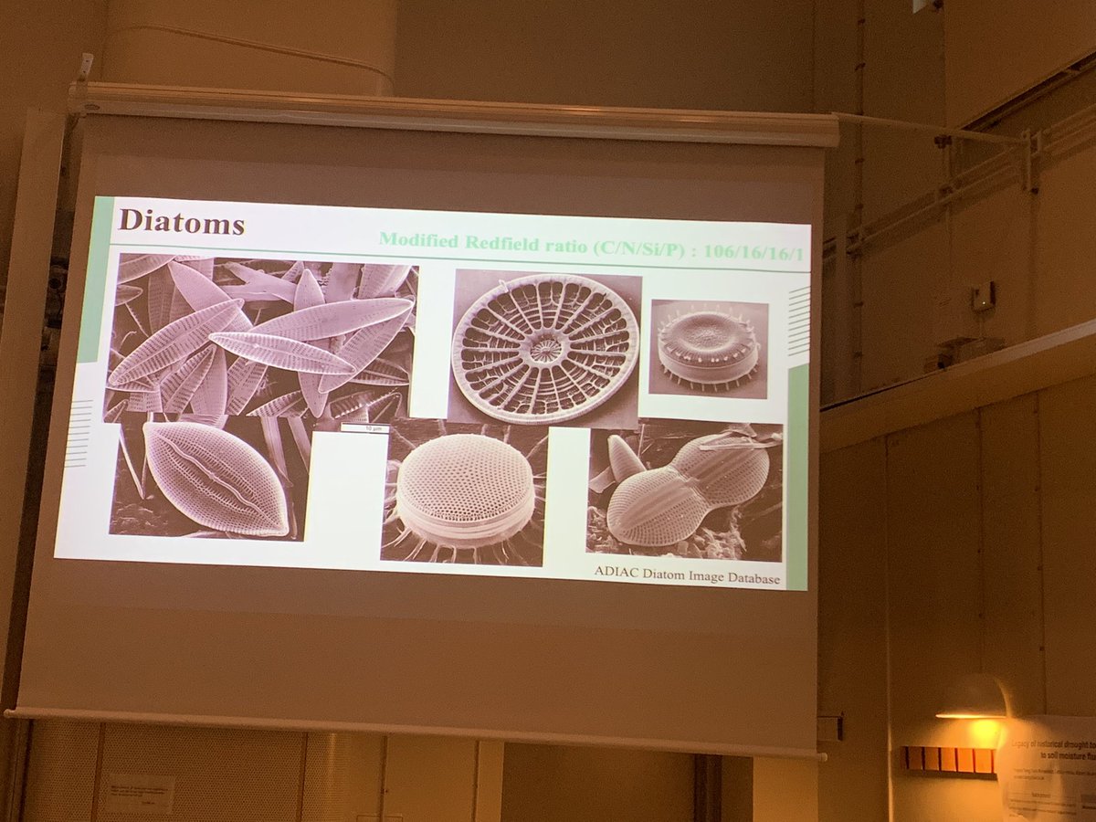 Mingyue_Yuan_'s tweet photo. Day 3: Silicon morning from @Pickerra cool element owning cool players,will check diatom and glass sponges afterwards! Also great talk given by Emma Kritzberg about the fate of dissolved organic carbon, as well as how Fe and S participate in the relevant processes #ItsElemental https://t.co/DltYlxEXsg
