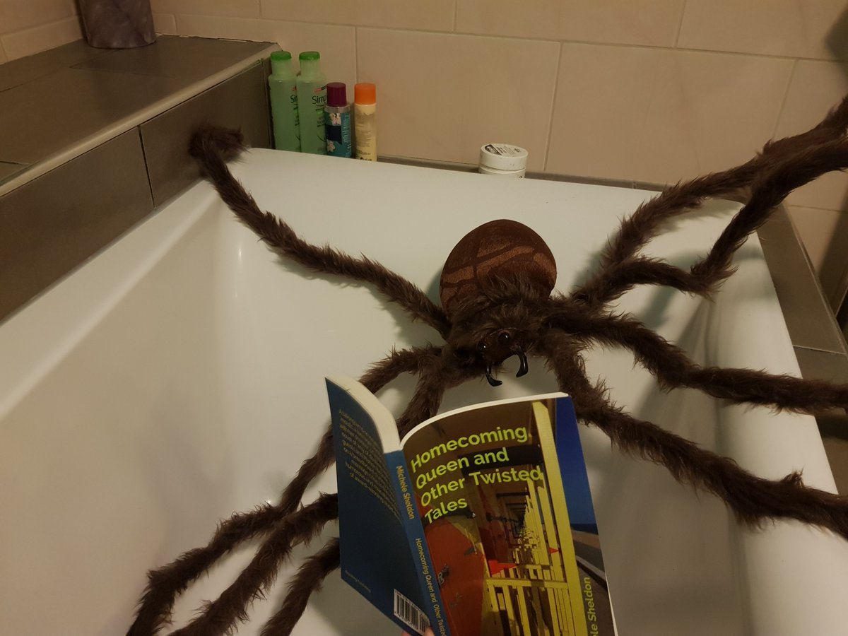 Michele Sheldon tweet media