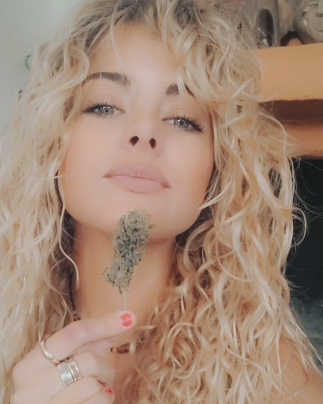 Sophie_MJ's tweet photo. BLUEBERRY 99 🍒💙
y sus terpenos especiados con toque picante 🔥🔥🔥🔥
•
@GreenbudSeeds @Apez140 @INMAQ16
•
#Greenbudseeds #AdrycsCove #Blueberry99 #esencia #terpenos #LaSofiJardinera👩🏼🌾💨😍💯🥰 https://t.co/o83p1PssDC