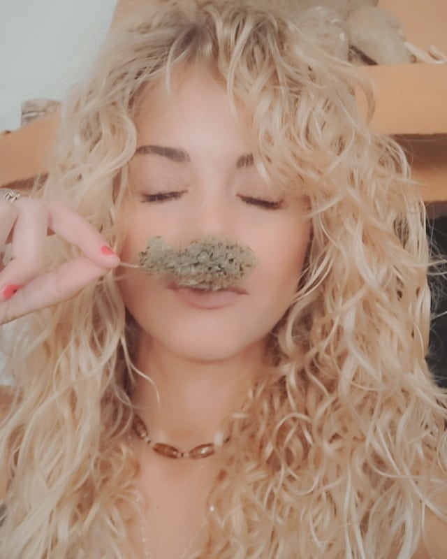 Sophie_MJ's tweet photo. BLUEBERRY 99 🍒💙
y sus terpenos especiados con toque picante 🔥🔥🔥🔥
•
@GreenbudSeeds @Apez140 @INMAQ16
•
#Greenbudseeds #AdrycsCove #Blueberry99 #esencia #terpenos #LaSofiJardinera👩🏼🌾💨😍💯🥰 https://t.co/o83p1PssDC