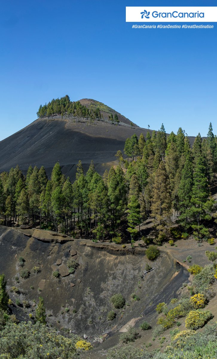 turismogc's tweet photo. ¿Sabías que en #GranCanaria también existe un #CaminoDeSantiago? Los amantes del senderismo y la naturaleza, desde mañana y hasta el 31/10, podrán descubrir los bonitos paisajes de esta ruta a través de una nueva edición del @GCWFestival. Les deseamos ¡#BuenCamino! #MuchoPorVivir https://t.co/YeB7fqNYWY