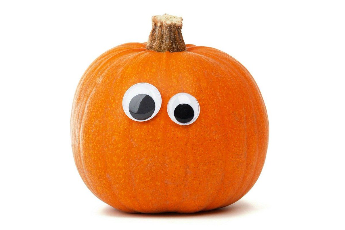 SPECSnetwork's tweet image. Pumpkins are not just a favourite Halloween decoration; they also make an appearance on many an autumn menu which is great news for your eyes. Pumpkins are rich in zinc, vitamin C, vitamin A, lutein, and zeaxanthin, making them a treat for your vision and overall health!