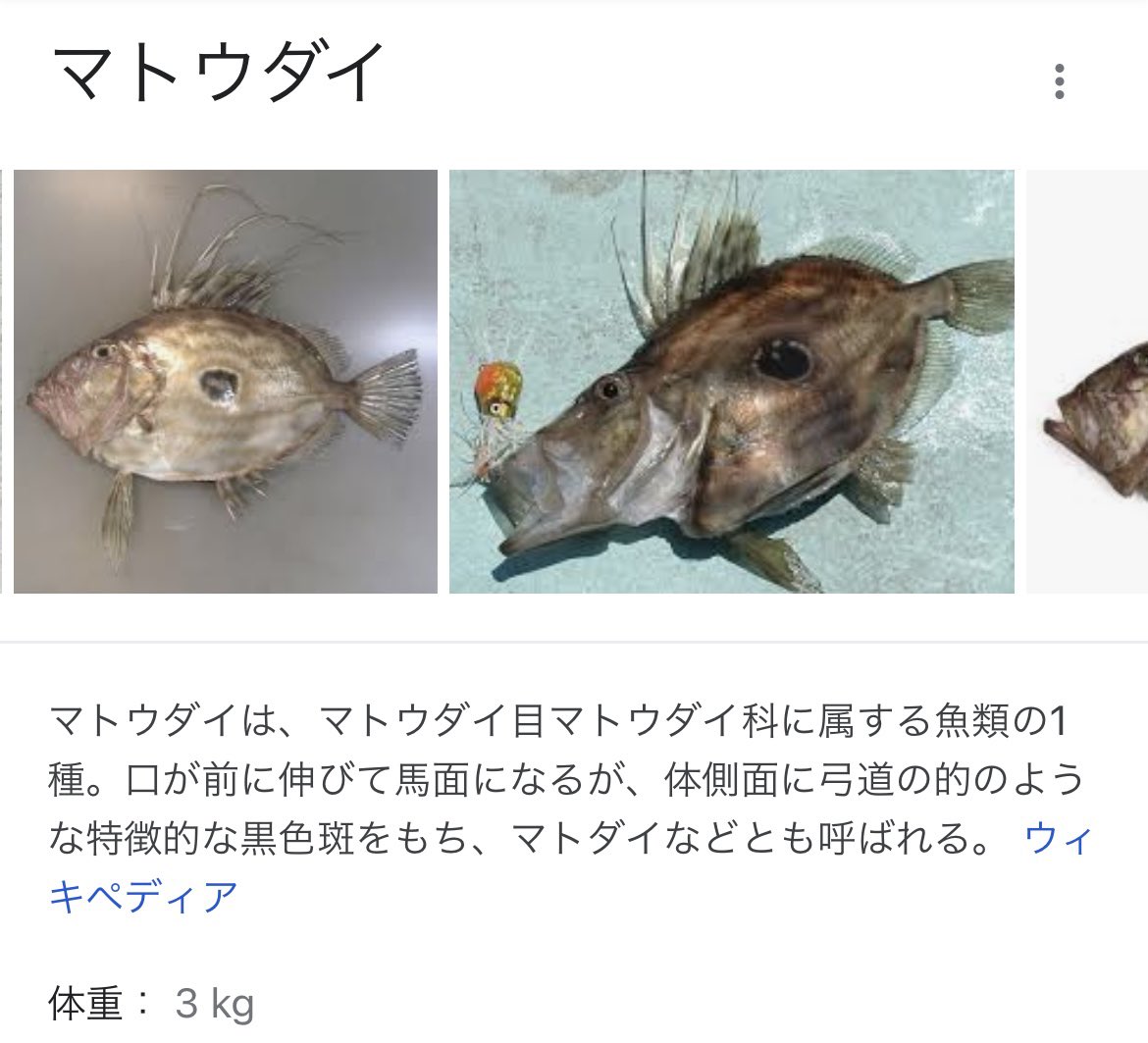 魔女っこれい 見た目はキモ面白いけど 味はうまい フレンチムニエルの定番らしい 確かにぃ 熱入れた方が滑らかになって絶対美味しい マトウ鯛の天ぷらにぎり南蛮のせ150円 T Co 8fs2kkbvts Twitter 魔女っこれい 見た目はキモ面白いけど 味はうまい フレンチムニエルの定番らしい 確かにぃ 熱入れた方が滑らかになって絶対美味しい マトウ鯛の天ぷらにぎり南蛮のせ150円 T Co 8fs2kkbvts Twitter