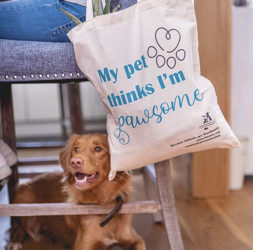 AnimalsAreWW's tweet photo. PAWSOME GIFT SET!

✨ In the Gift Set:✨

x1 B.A.A.WW socks
x1 Canvas Pawsome Apron
x1 Canvas Teatowel
x1 Canvas Tote Bag 

✨ All for just £28 with free postage ✨

‘Pawsome’ Gift Set with FREE POSTAGE - head on over to our ETSY now: https://t.co/0ka9QnPVIF 

#AdoptDontShop https://t.co/b5pdvqVHyD