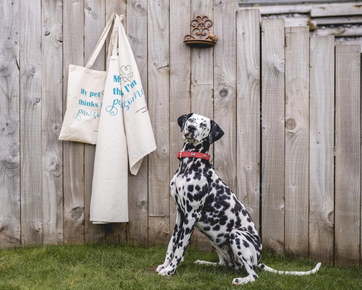 AnimalsAreWW's tweet photo. PAWSOME GIFT SET!

✨ In the Gift Set:✨

x1 B.A.A.WW socks
x1 Canvas Pawsome Apron
x1 Canvas Teatowel
x1 Canvas Tote Bag 

✨ All for just £28 with free postage ✨

‘Pawsome’ Gift Set with FREE POSTAGE - head on over to our ETSY now: https://t.co/0ka9QnPVIF 

#AdoptDontShop https://t.co/b5pdvqVHyD