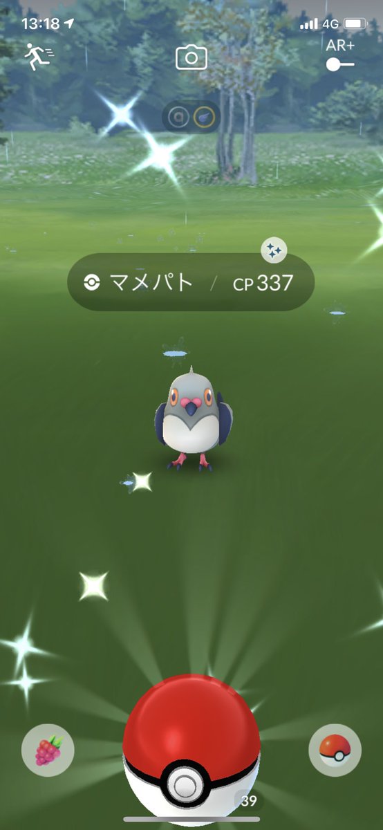 マメパトのtwitterリアルタイム検索結果 Meyou ミーユー