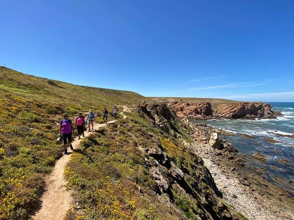 visitNWC's tweet photo. Hiking from Doringbay to Strandfontein never disappoints. Exploring the cliffs and shoreline with @silentstepssa wich forms part of their Shoreline of the San hike.
.
📷 @silentstepssa #shorlineofthesan #weskus #doringbaai #strandfontein #discoverct… https://t.co/Or6R4nKtw5 https://t.co/wlCXvbnXNG