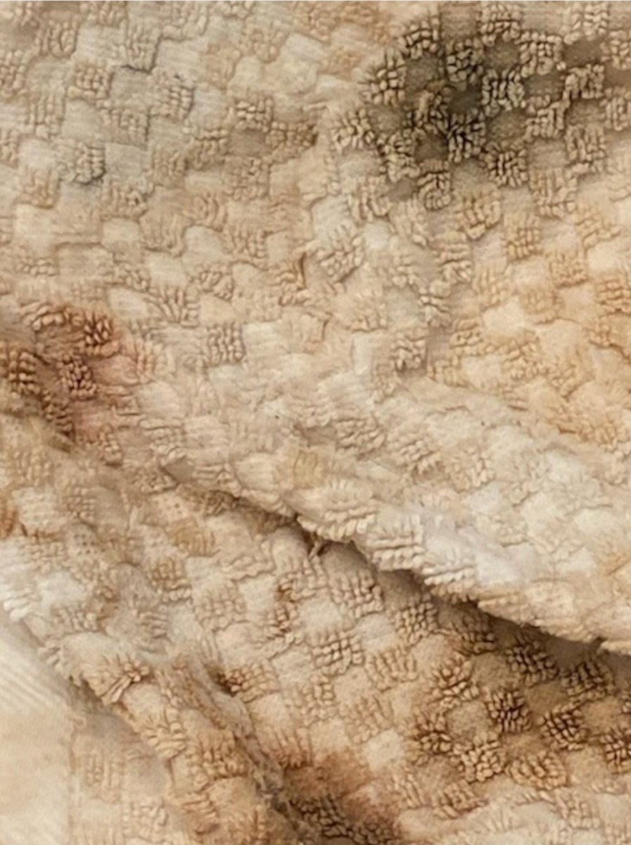 Terry SkyWalker tweet media