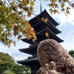 ツイートに含まれる画像