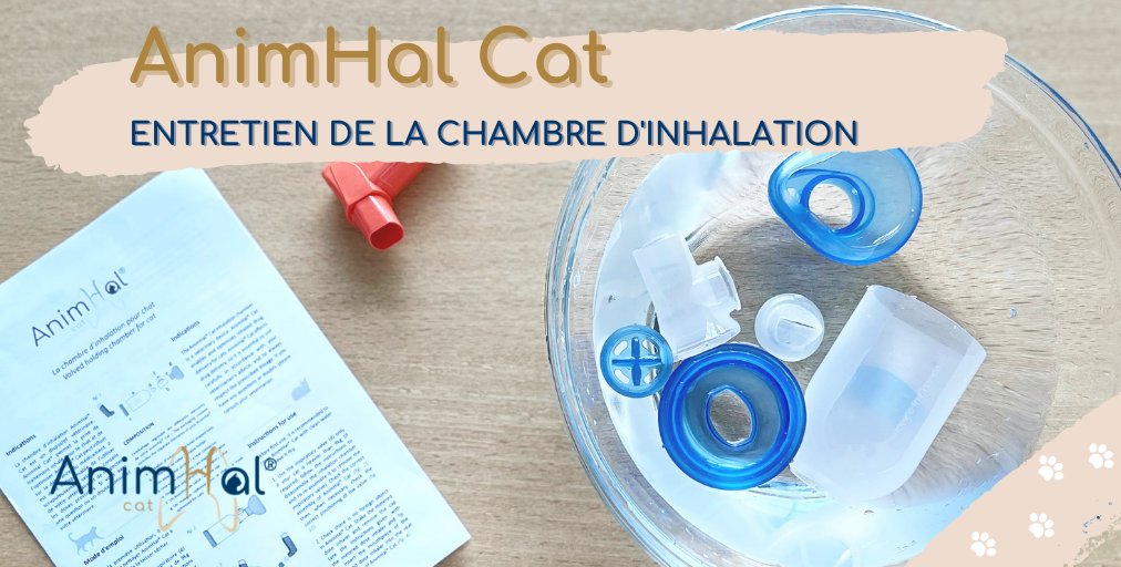 AnimHal_HC's tweet photo. [Entretien &amp; Nettoyage] 🐱Un bon entretien de votre chambre d'inhalation AnimHal Cat en assurera la longévité et l'efficacité lors de la prise des traitements de votre animal. 
Retrouvez tous nos conseils d'entretien ici ➡️https://t.co/vXssd3UQLy

#FelineAsthma #MyAnimHal https://t.co/VxAHl1VVQ5