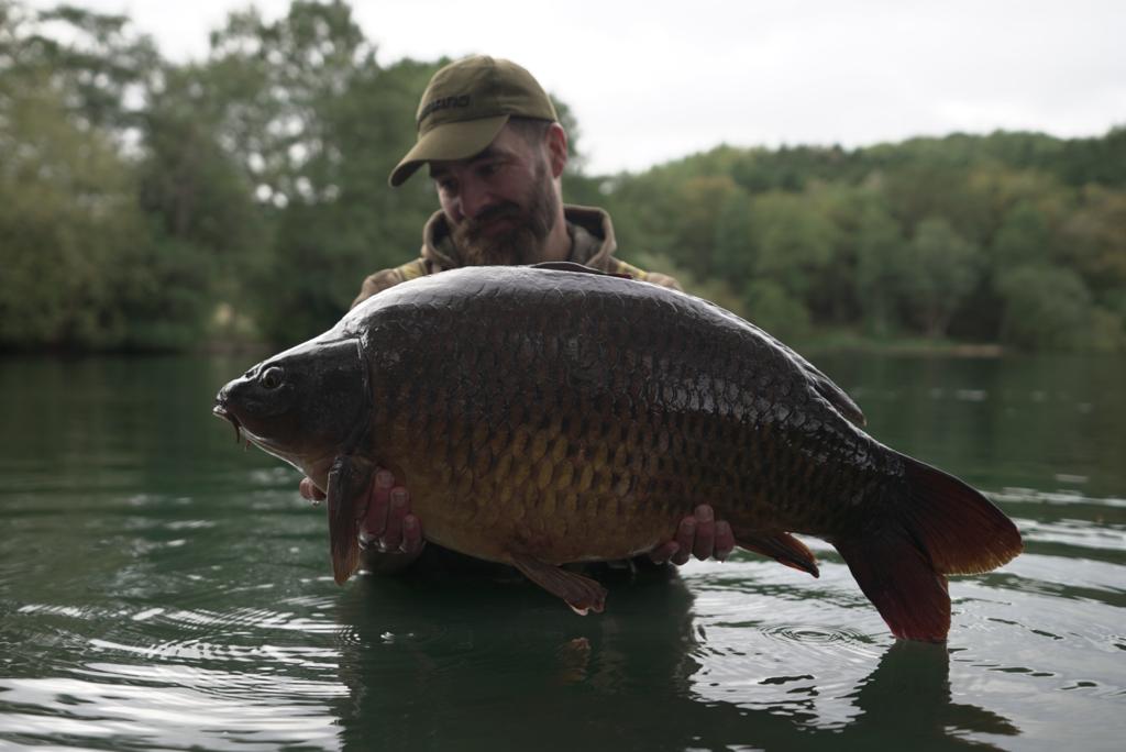 Nice 30lber from last week after introducing a small handful of bloodworm in to the mix.
<a href="/carbonbaits/">Carbon Baits</a>
@shimano_tribal