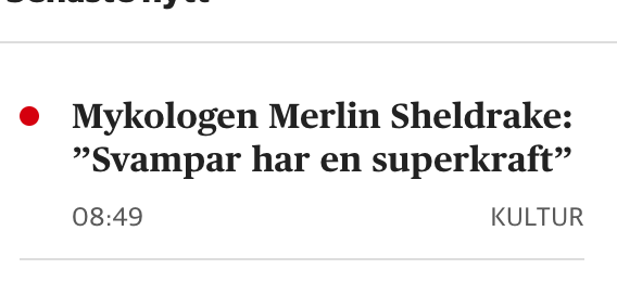 jonnystash's tweet photo. shit, svamparna har fått adhd https://t.co/cgWiYSMRym