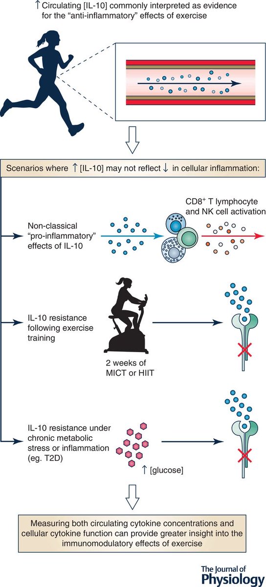 Interpreting "anti-inflammatory" cytokine responses to exercise: Focus on interleukin-10

👀👀👇👇

pubmed.ncbi.nlm.nih.gov/34647335/