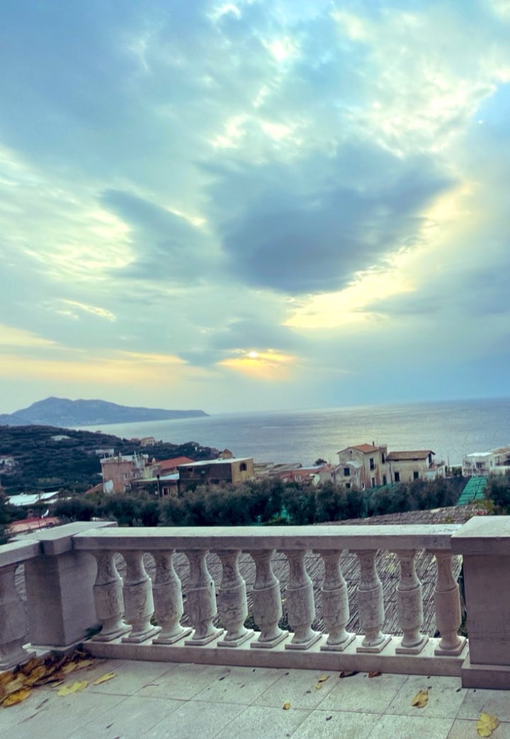 Gaby NFT tweet media