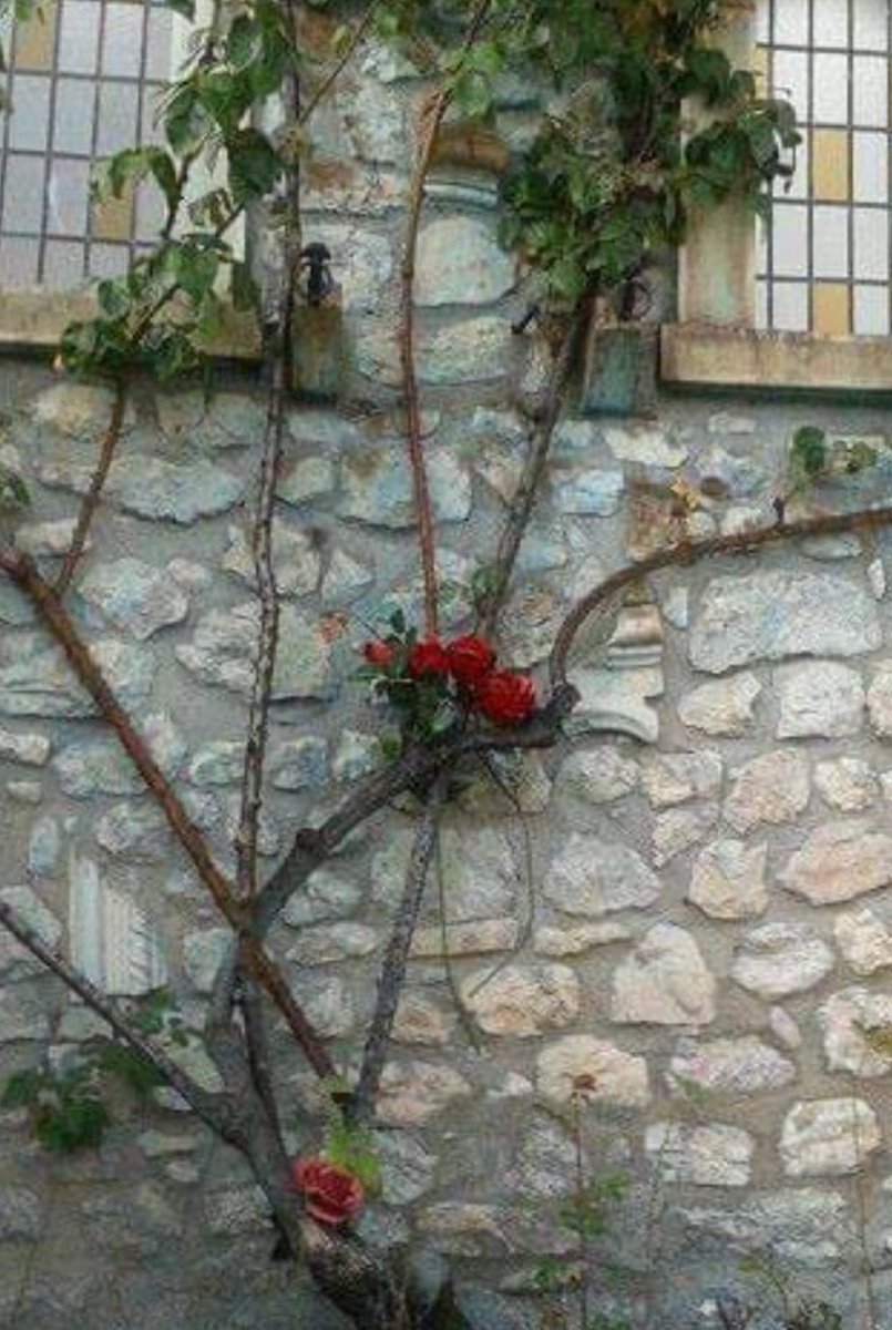 Affrontando le difficolta e superandole, ci sentiremo più forti; certo si soffrirà, ma non permettere mai che le difficoltà ti facciano perdere la capacità di tirar fuori il meglio che hai. La tua forza per vincere sia piena di rispetto, determinazione, speranza. Buona giornata