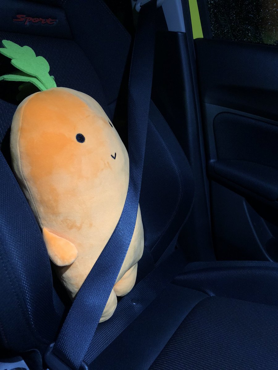 karoten_100's tweet photo. カロテンの写真集です🥕 https://t.co/iT7WthpvIx