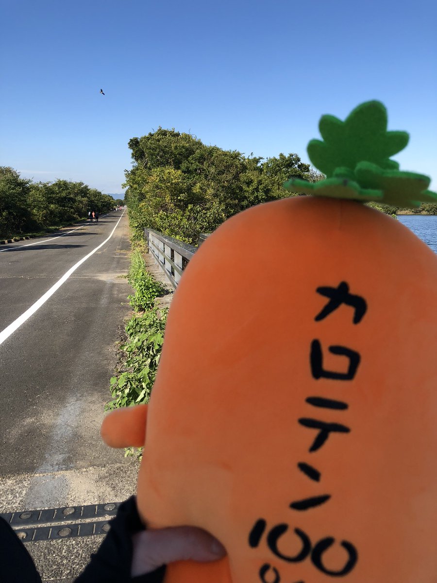 karoten_100's tweet photo. カロテンの写真集です🥕 https://t.co/iT7WthpvIx