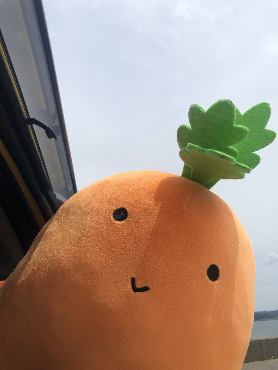 karoten_100's tweet photo. カロテンの写真集です🥕 https://t.co/iT7WthpvIx