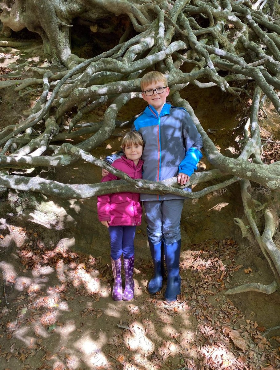 PrimaryButts's tweet photo. E and L had a wonderful walk around Waggoners Wells yesterday before exploring the amazing roots of this tree! #walktober #walktowellbeing https://t.co/6eJVMYGCsK