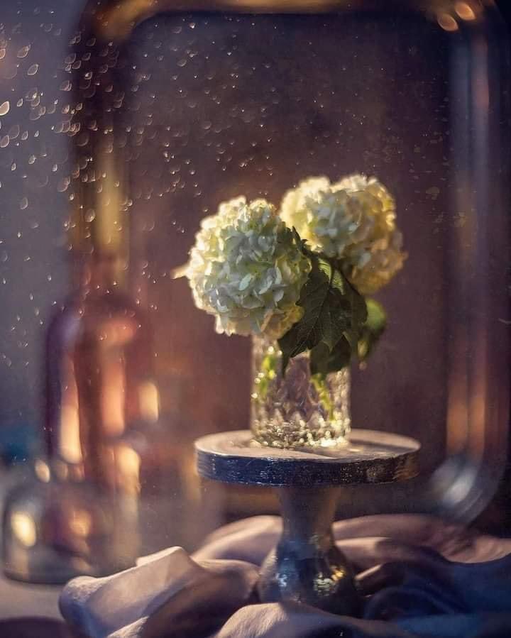 لا يوجد
أجمَل من شعور أنك لم تظلِم، و لم تخذل، لم تتخلّ، و لم تترُك أحدًا في منتصف الطريق، تنام واثقًا بأنك كنت خيرُ سند لمن لجأ، و الرفيقُ لمن هرَع و استفزَع..
.