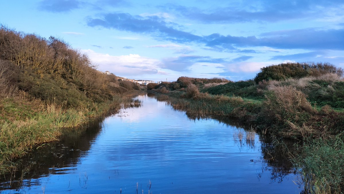 SavePrincesPara's tweet image. Research shows that connection with nature is vital for mental health. With the loss of over 7 hectares of important open green space at Prince's Parade, the actions of FHDC are detrimental to the health of this district. An improvement? We think not. #mentalhealth #mind #green