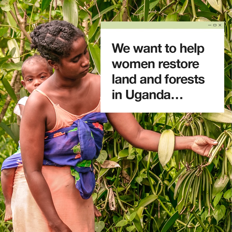 UNCCD's tweet photo. The Rio Conventions on land restoration, climate and biodiversity are coming together to help restore balance with nature and build a healthier world 🌻

Join UNCCD, @UNFCCC and @UNBiodiversity at #COP26 Rio Pavilion hosted by @theGEF 🌻

➡️ https://t.co/0x1tzpabDy #ForNature