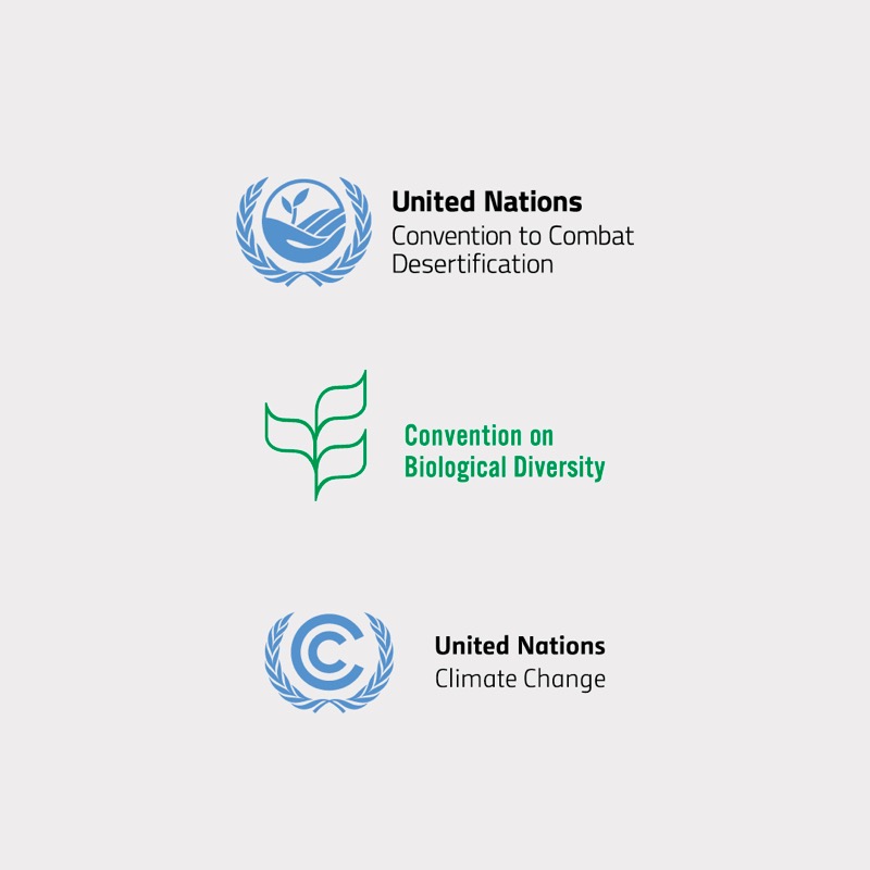 UNCCD's tweet photo. The Rio Conventions on land restoration, climate and biodiversity are coming together to help restore balance with nature and build a healthier world 🌻

Join UNCCD, @UNFCCC and @UNBiodiversity at #COP26 Rio Pavilion hosted by @theGEF 🌻

➡️ https://t.co/0x1tzpabDy #ForNature