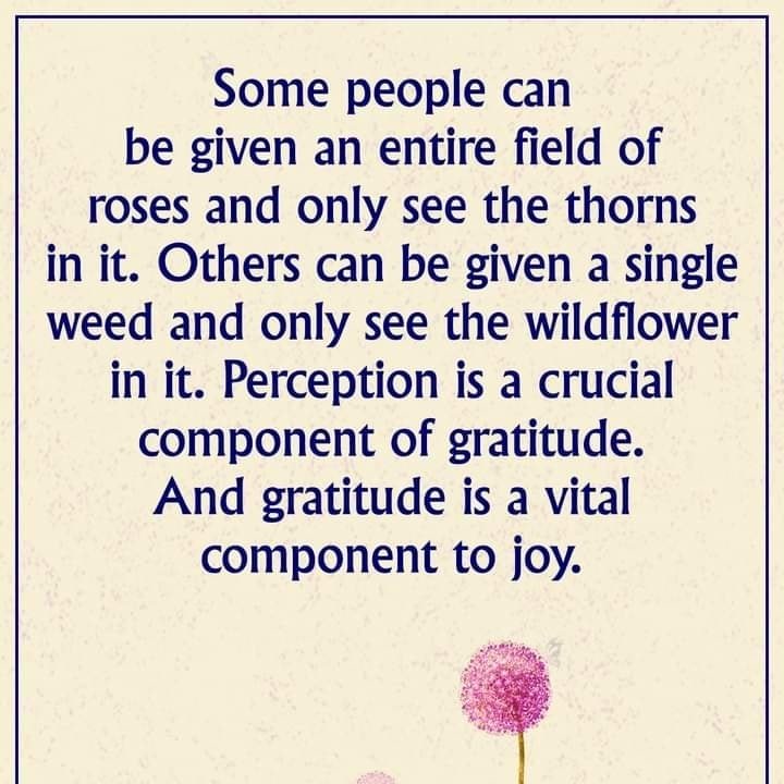 CDelightfulness's tweet photo. #positive quote of the day💖: #alwaysahero #PositiveVibes #positivemindset #YouAreNotAlone https://t.co/FmHOiOqtcD