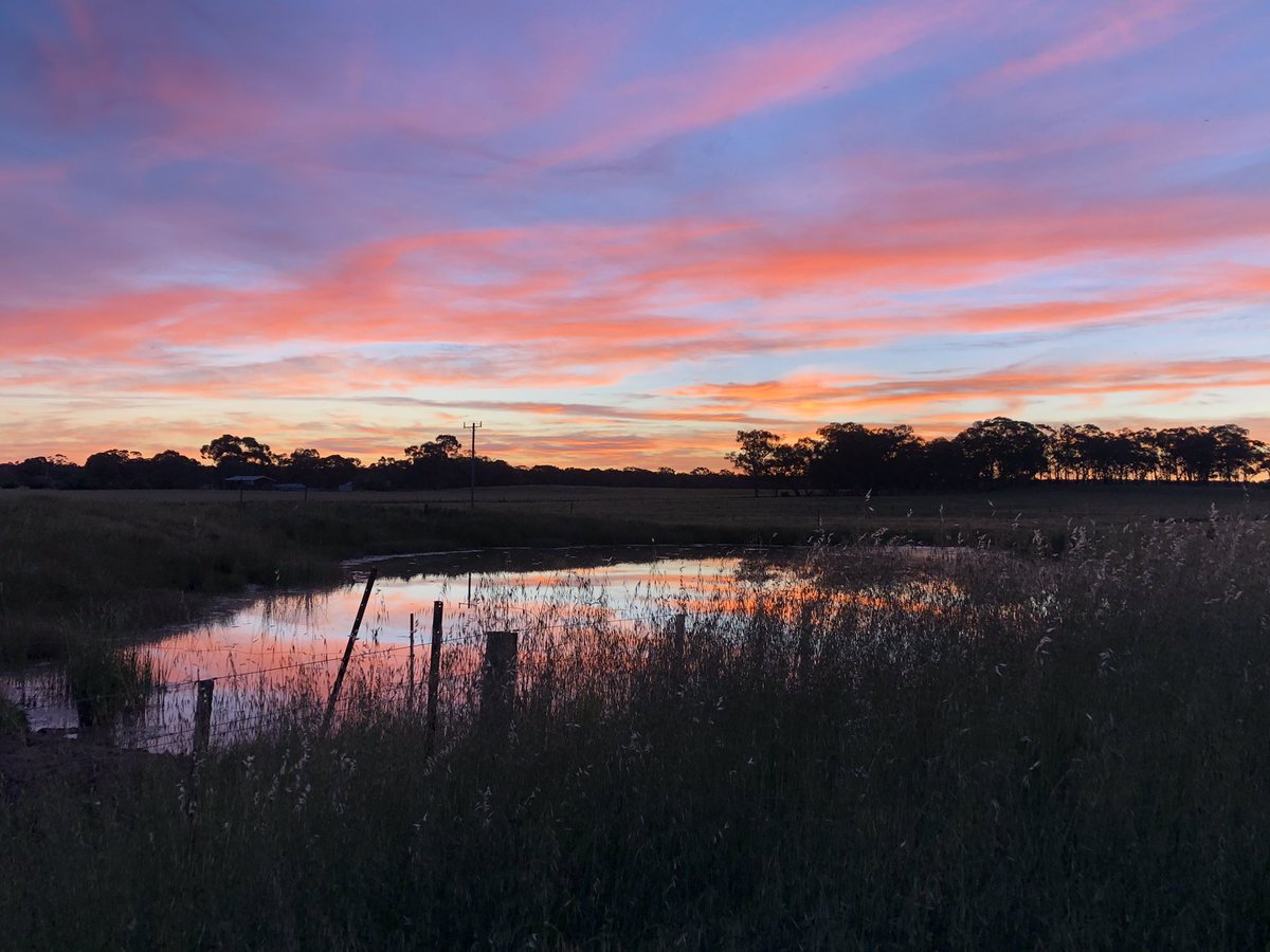 Ben Tate tweet media