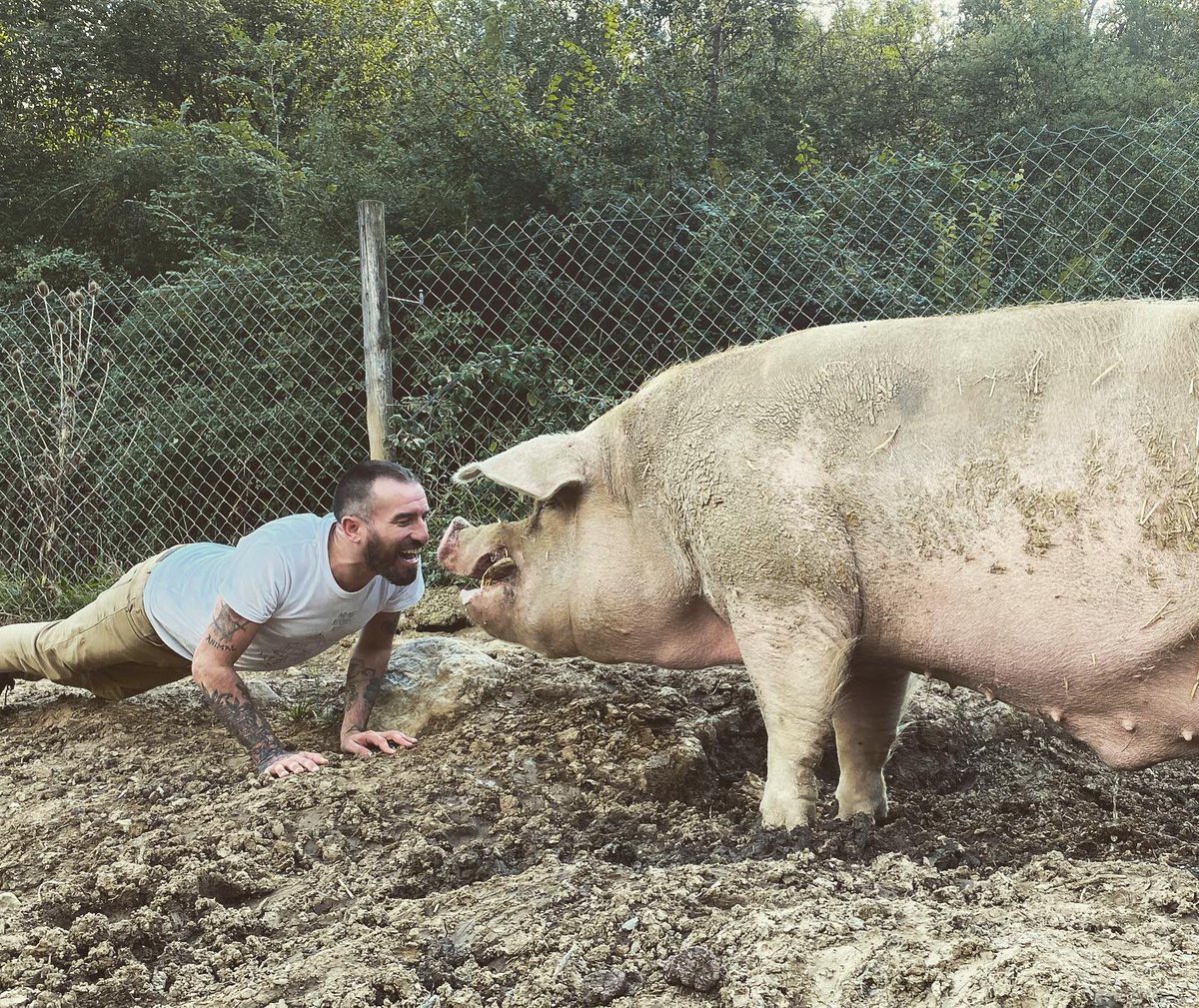 IsmaelSantuario's tweet photo. LOS CERDOS DICEN TE QUIERO 💚

Hace mucho tiempo que los humanos olvidamos que también somos animales, desconectado totalmente de la naturaleza y el mundo que nos rodea. Nos hemos vuelto tan egocéntricos, que…

Leer más: https://t.co/KwSn9Fxjd8 https://t.co/emaFS3qBMS
