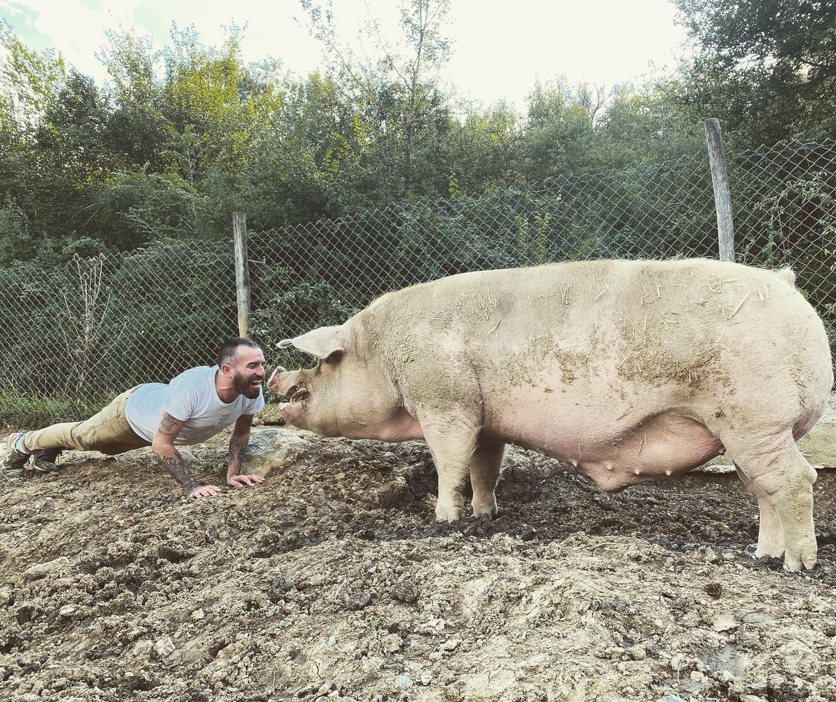 IsmaelSantuario's tweet photo. LOS CERDOS DICEN TE QUIERO 💚

Hace mucho tiempo que los humanos olvidamos que también somos animales, desconectado totalmente de la naturaleza y el mundo que nos rodea. Nos hemos vuelto tan egocéntricos, que…

Leer más: https://t.co/KwSn9Fxjd8 https://t.co/emaFS3qBMS