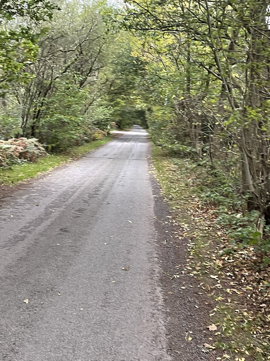 gary_conduiit's tweet photo. 1st morning run b4 work in (probably) 3yrs!!! Another 4 miles in the tank. Feels great and now ready for a day of proposals / meetings and project delivery for @conduiit. #mindovermatter #habitforming #fitinbodyfitinmind https://t.co/OFSmRrw4pm