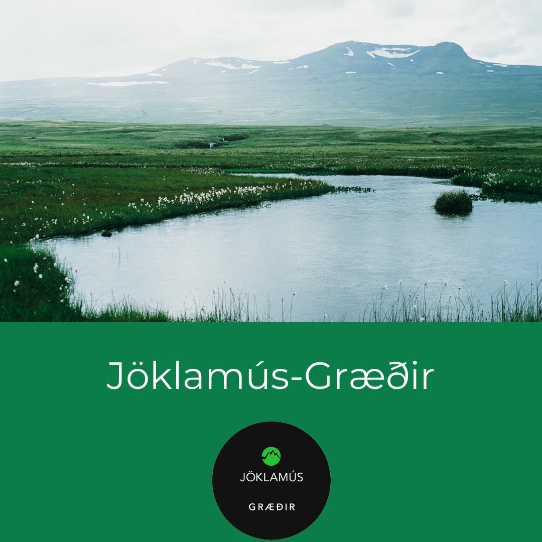 Ath hægt er að fá Jöklamús Græðir í 30 ml og svo sérpanta í 50 ml dósum hjá okkur.
Nánari upplýsingar eru á vefnum eða joklamus@joklamus.is