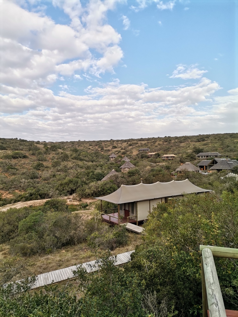 Bukelagamelodge's tweet photo. Our rooms are all perfectly positioned to enjoy scenic valley views below.
https://t.co/bwN8Wxf0JI
#BukelaGameLodge #Bukela #LionRoarsHotels #EasternCape #Amakhala #LionRoars #AmakhalaGameReserve #Big5Safari #MalariaFree #LuxuryTravel #LuxuryLiving https://t.co/HvOVJYnBlG