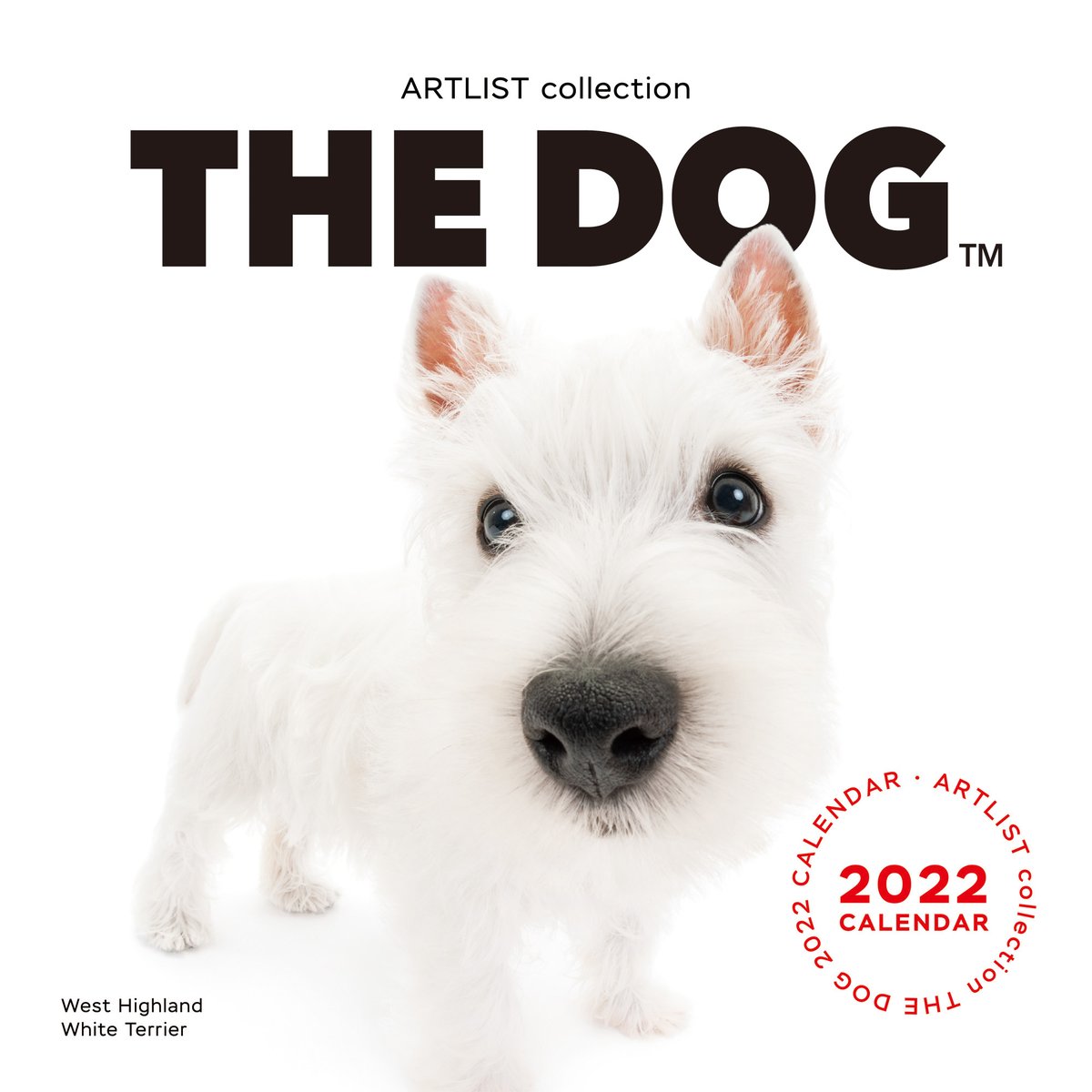 速報】＃THEDOG 2022カレンダー人気犬種ランキング🐩✨ 大判サイズ 1