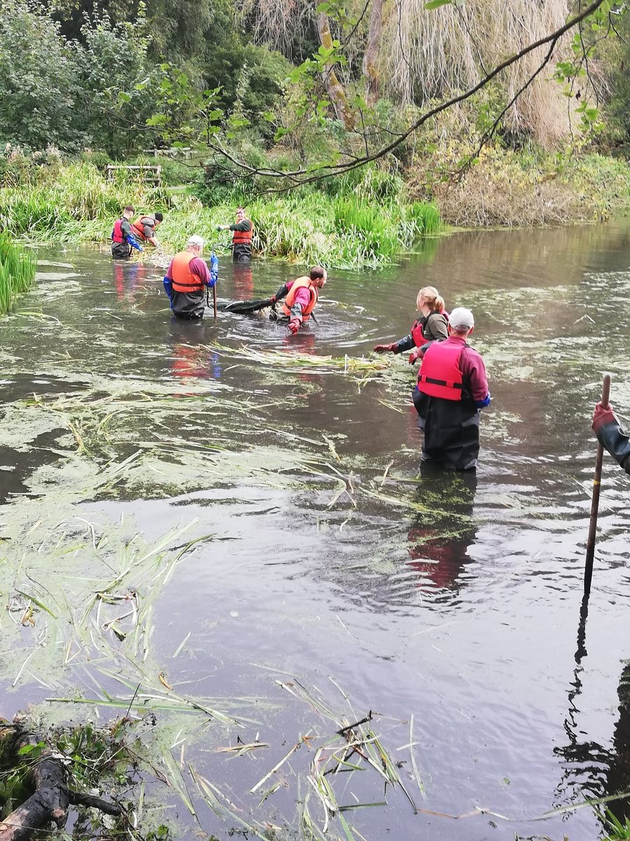 Southsomersetdc's tweet photo. 🏆🌳 Volunteers &amp; rangers are raising 3 Green Flag Awards this year at Ham Hill, Yeovil Country Park &amp; Chard Reservoir  - allowing SSDC to retain the award for the 16th consecutive year!  Find out about our green spaces and parks on our brand new website https://t.co/TdcA8DVKyH https://t.co/oBIE3EYqiX