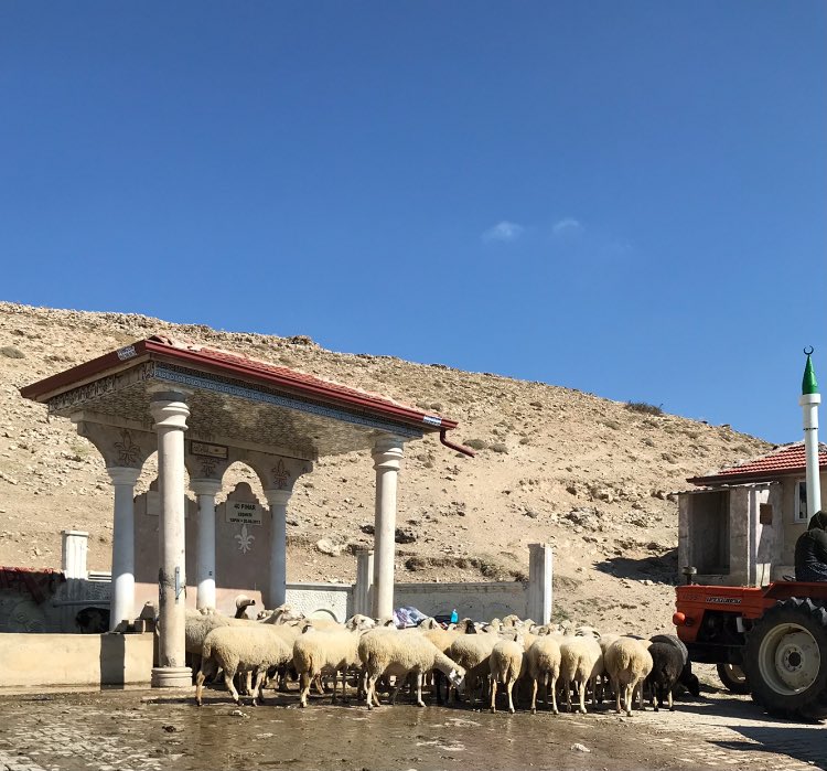 Kırkpınar Çeşmesi Afyon Kale Köyü’nde olan tatlı kaynak suyudur.Dağın içinden taşların arasından süzülüp gelen asırlar öncesinin doğal pınarlarının kesişim noktasıdır.
Tarihi çeşme kalıntıları hatılın dibinde…
Ölmüşlerimizin canına değsin.