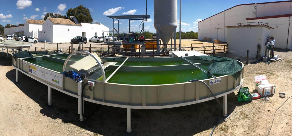 univcadiz's tweet photo. 🤩🎉¡Estamos de enhorabuena!🔝El proyecto #SUNRAS de la #UCA, XX Premio JACUMAR de Investigación en #Acuicultura @mapagob ♻️Basado en la economía circular, está liderado por los profesores José Antonio Perales y Manuel A. Manzano 👏👏👏 ¡¡Felicidades!! 

ℹ️https://t.co/abjCMV8TY8 https://t.co/2ONVd55e1x