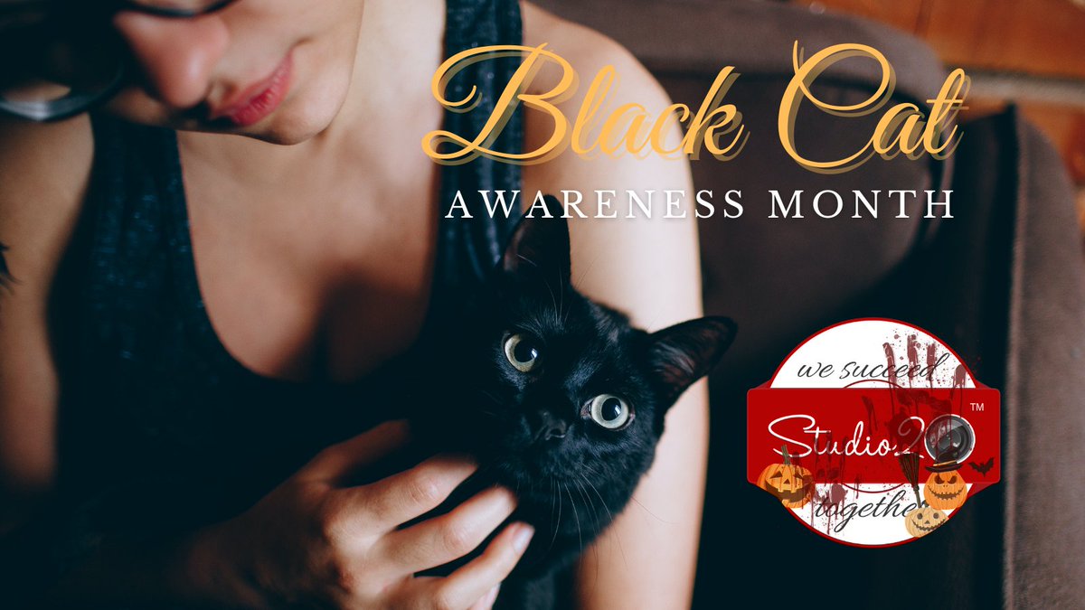 STUDIO20Cluj's tweet photo. #artist #entertainer #Studio20 #studio20cluj #girlsfromstudio20 #wesucceedtogheter #cluj2021 #womenaremagic #happylife #gettingstarted #dreamcometrue #model #blackcatawarenessmonth #blackcat
+40 724 773 477
+40 756 773 477
angajari.cluj@studio20.com https://t.co/9EjuKyqW1t